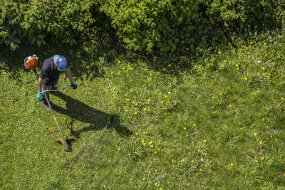 L'environnement